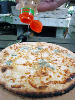 ピザの新しい食べ方_c0053520_2227763.jpg