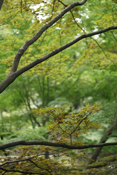 a0068424_11191343.jpg