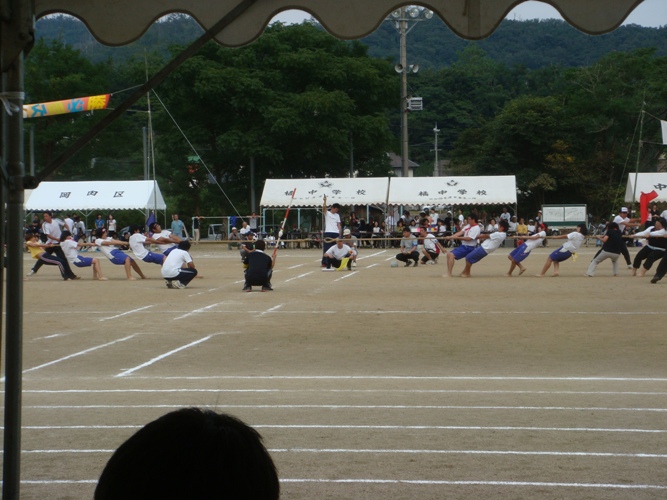 a0040929_2081594.jpg