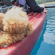 kayak_c0124031_20431132.jpg