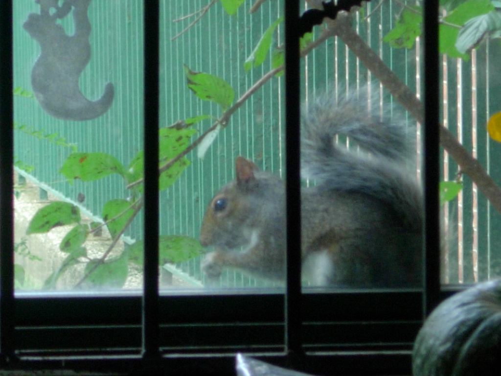 f0200433_1552883.jpg