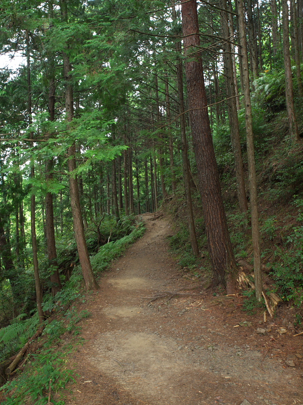d0125535_195333.jpg