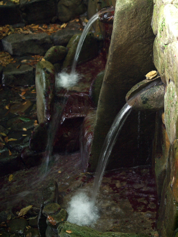 d0125535_2002334.jpg