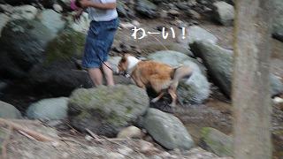 七沢キャンプ場でチャポチャポ_e0195743_22161489.jpg