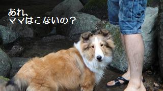 七沢キャンプ場でチャポチャポ_e0195743_2217543.jpg