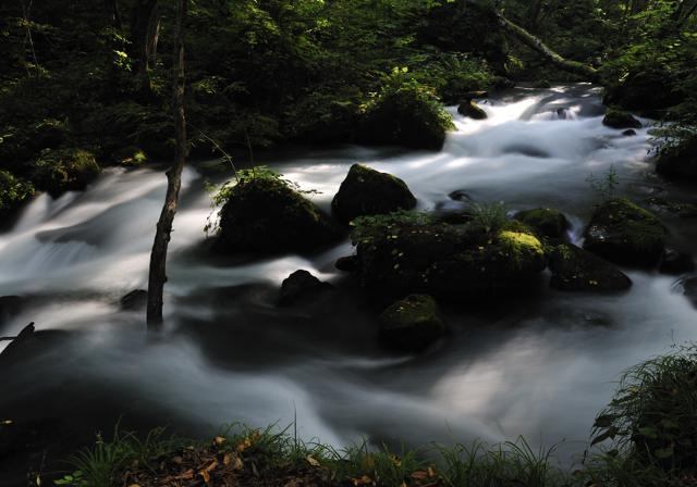 奥入瀬渓流 阿修羅の流れ : 気ままな時間を ゆったりと