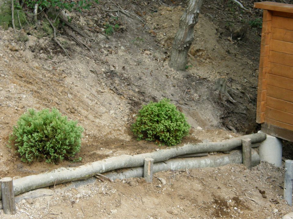 f0090444_21413944.jpg