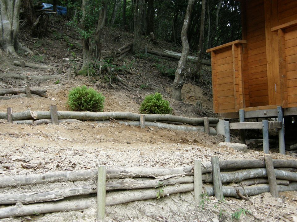 f0090444_2142374.jpg