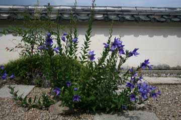 b0072947_21102025.jpg