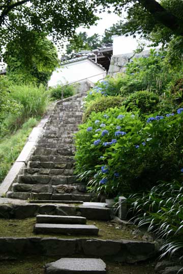 b0072947_21103471.jpg