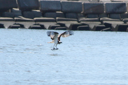b0162847_10327.jpg
