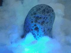 e0005548_21245578.gif