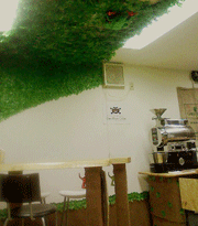 ジャングルみたいなコーヒー屋さん_e0193358_16395630.gif