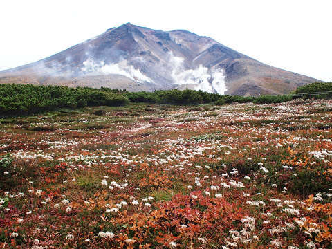 e0045768_22324410.jpg