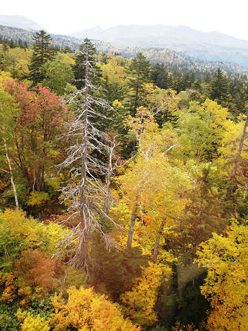 e0045768_22341434.jpg