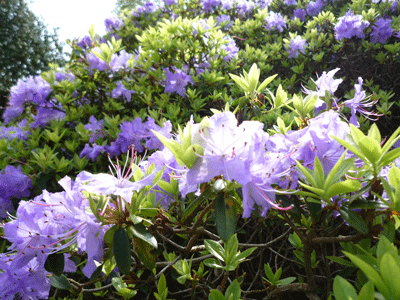 d0022770_21192734.gif