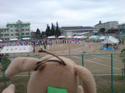c0158573_10251749.jpg