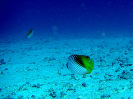 a0002177_94275.jpg
