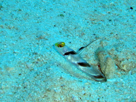 a0002177_98163.jpg