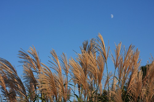b0003280_231439100.jpg