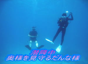 大賑わい!ナイスダイブでダイビング☆_f0144385_2250455.jpg