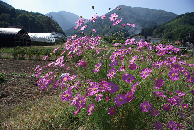 b0159790_0451115.jpg