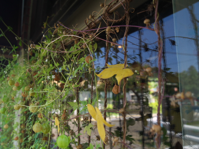 故郷の風景　居心地のいいカフェ_f0024992_862782.jpg