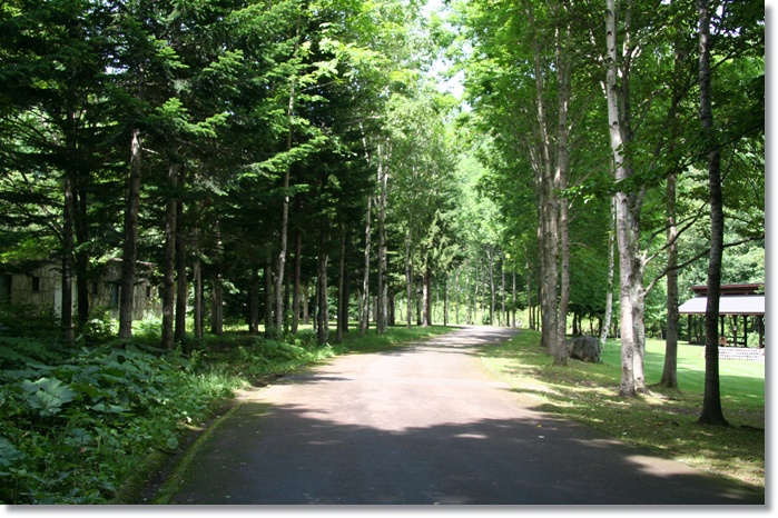f0146493_0394432.jpg