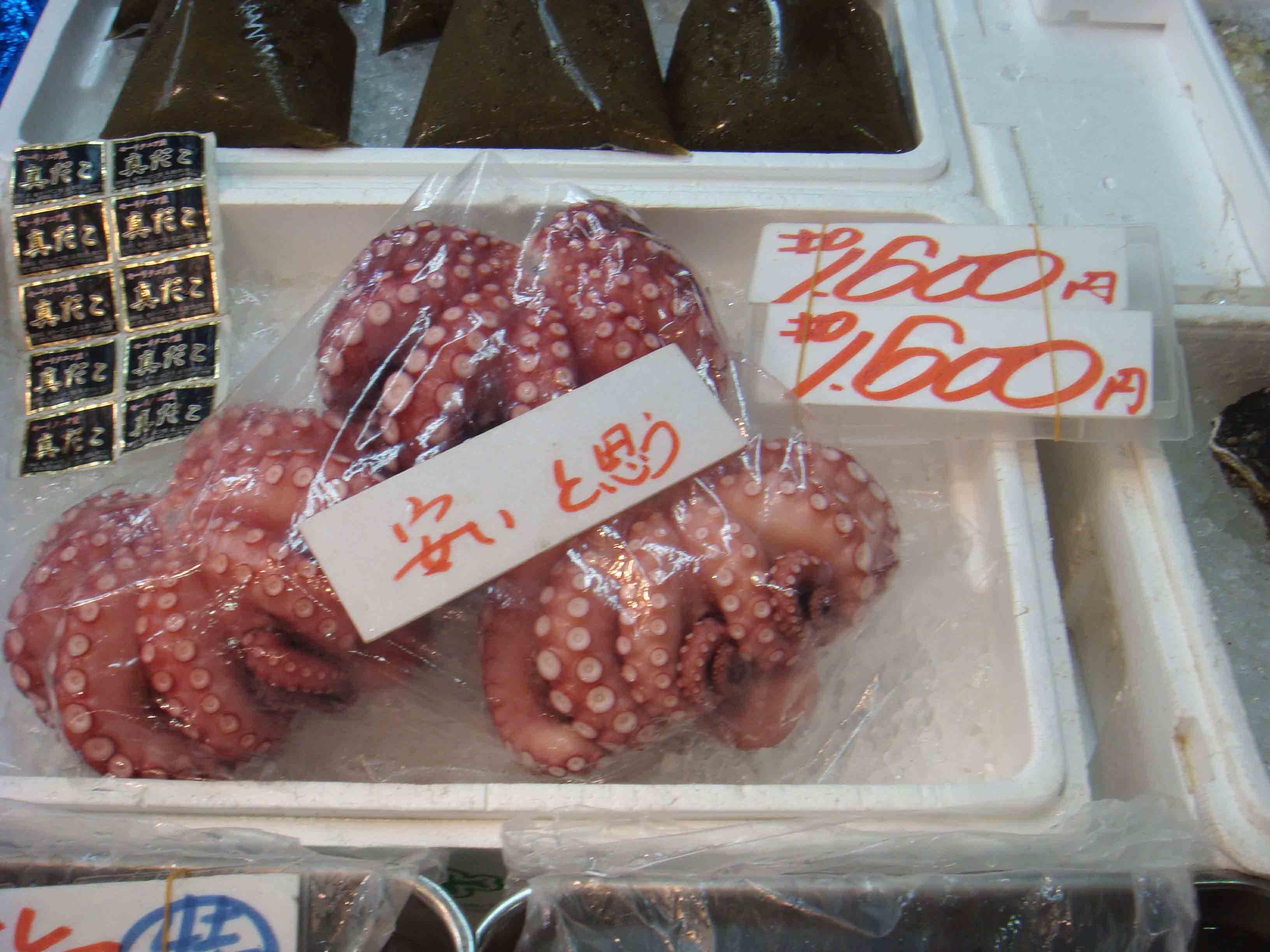 こんにちは。_a0117794_15575572.jpg