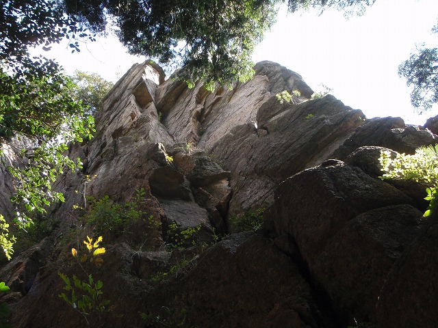 c0147398_22263626.jpg