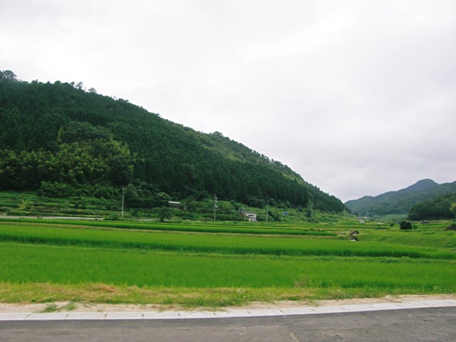 f0036603_13592198.jpg