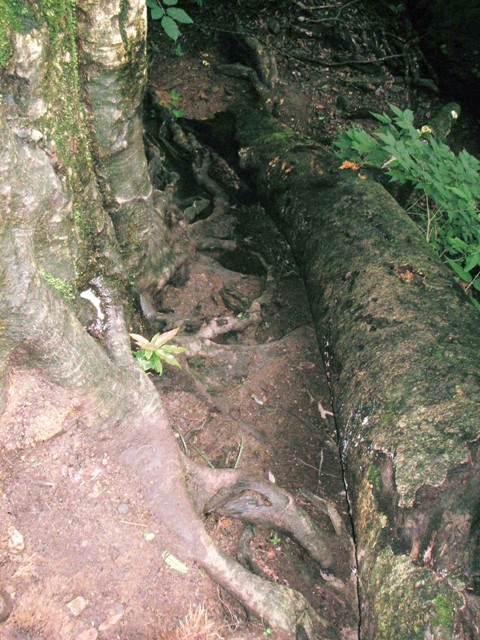 f0036603_1410515.jpg