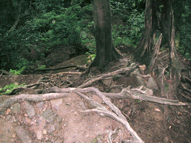 f0036603_14113234.jpg