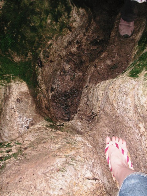 f0036603_1413031.jpg