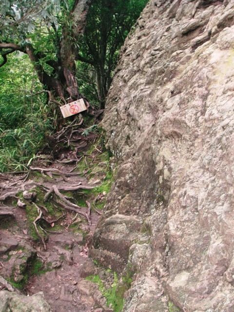 f0036603_14141342.jpg