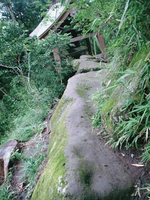 f0036603_1418060.jpg