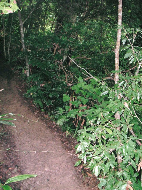 f0036603_14212493.jpg