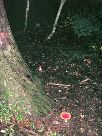 f0036603_14274745.jpg