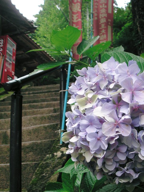 f0036603_14315676.jpg