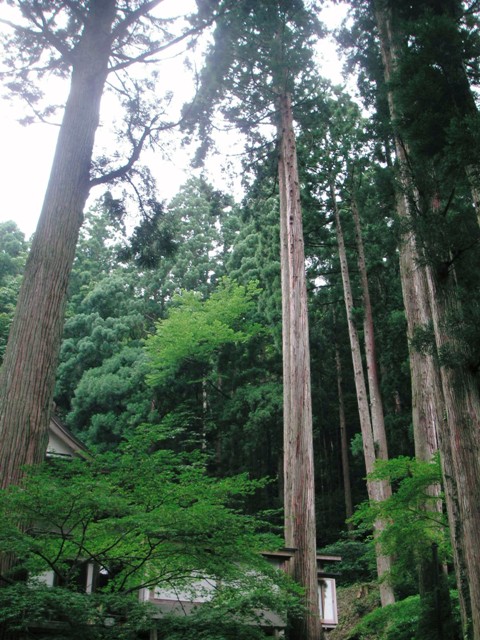 f0036603_1431940.jpg