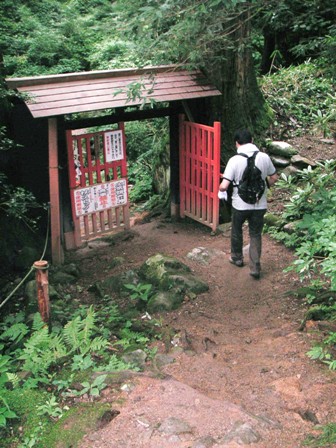 f0036603_1462490.jpg