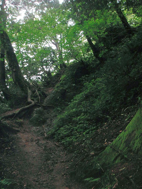 f0036603_1464994.jpg
