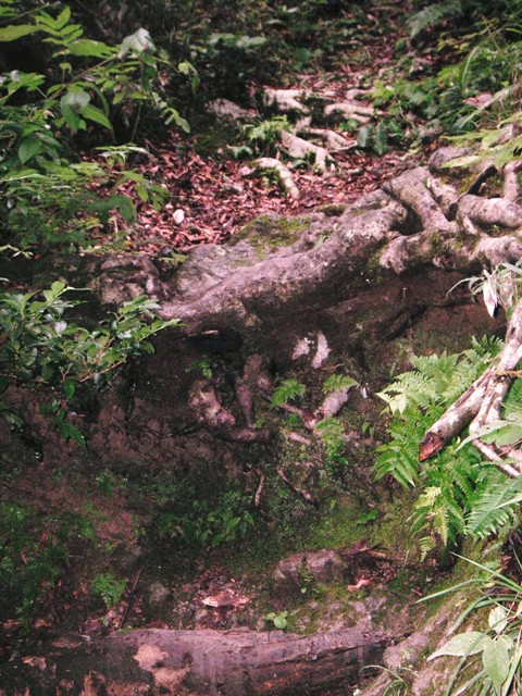 f0036603_1484068.jpg