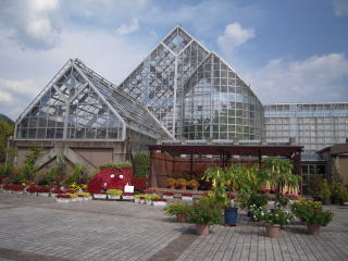 d0110904_536533.jpg