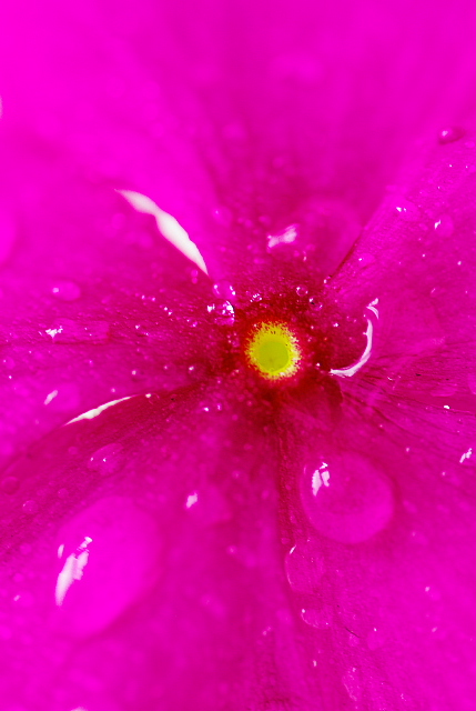 e0163608_23202866.jpg