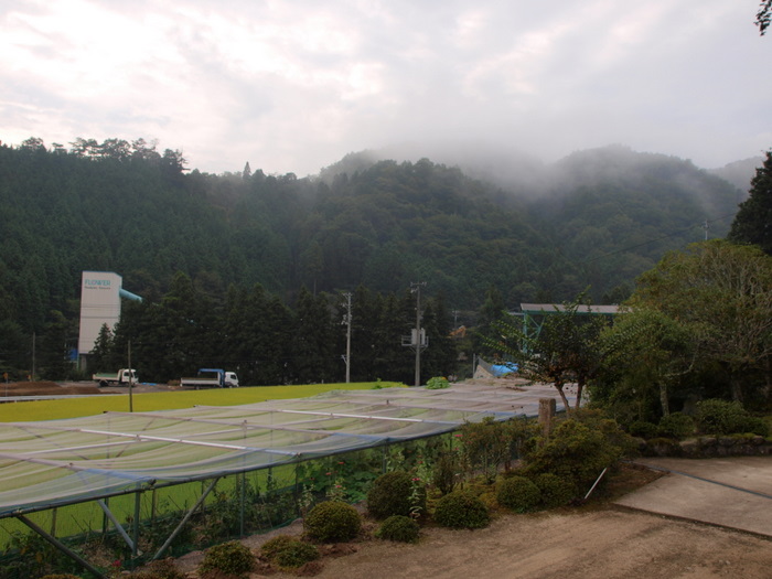 山に霧。。_c0116915_16205989.jpg