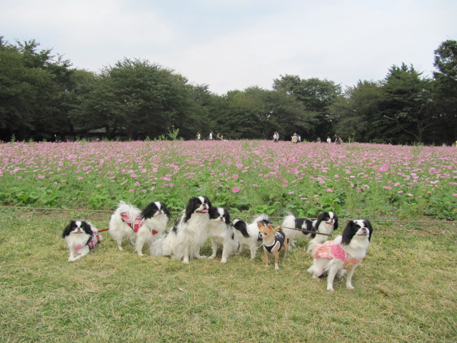 c0200916_23303340.jpg