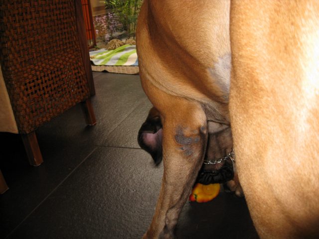 e0192217_951327.jpg