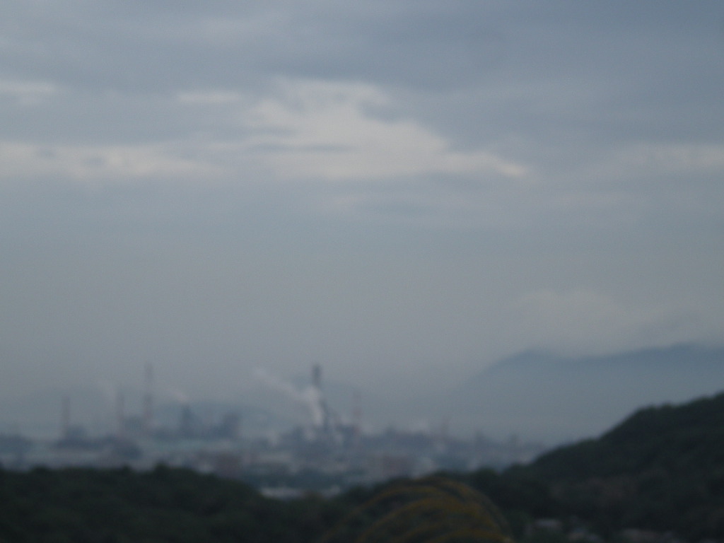 30時間経過~_a0125419_8344641.jpg