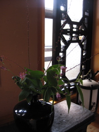 c0190824_190799.jpg